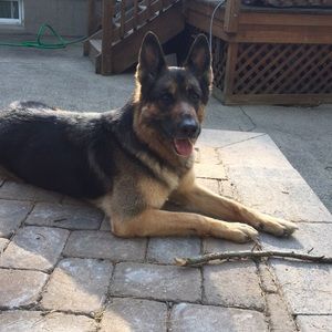 Meet your Posher, Gillian